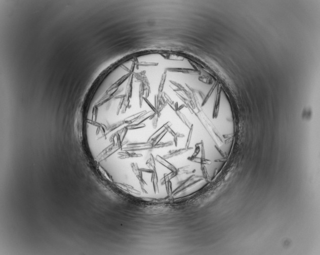 X0000101950838200808151251
