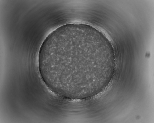 X0000101950839200808151251