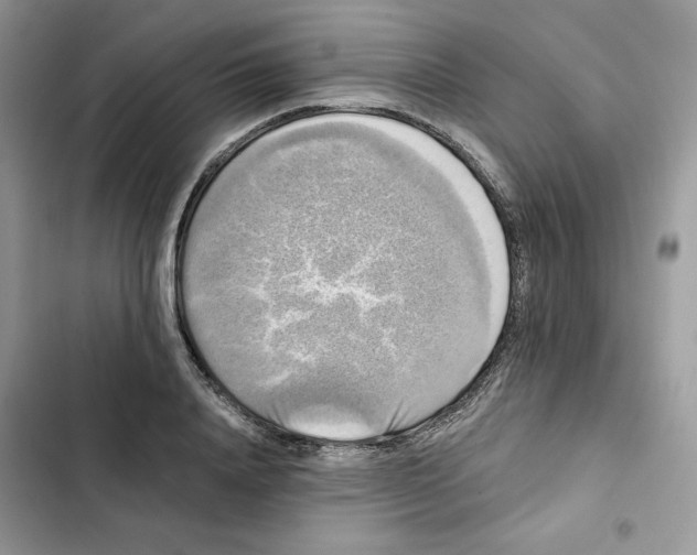 X0000101950840200808151251