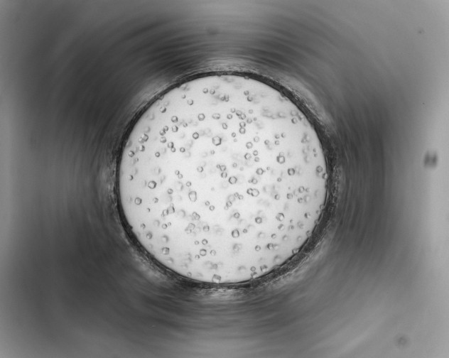 X0000101950841200808151251