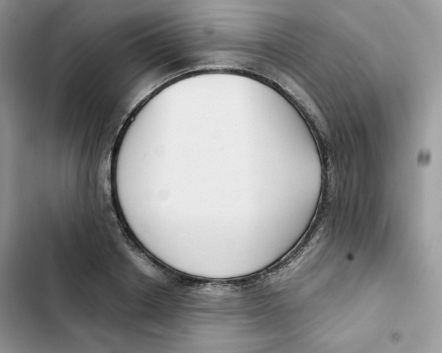 X0000101950842200808151251