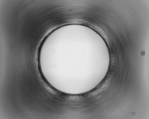 X0000101950843200808151251