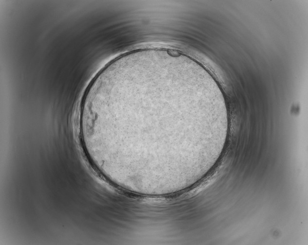 X0000101950844200808151251