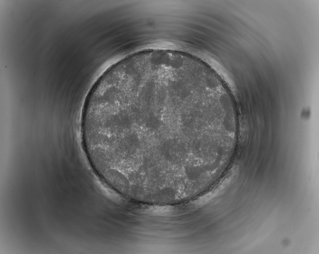 X0000101950845200808151251