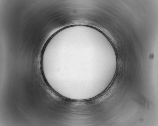 X0000101950846200808151251