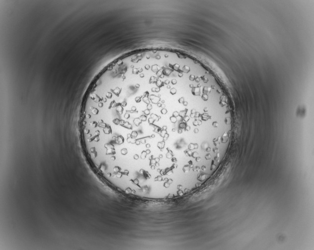 X0000101950847200808151251