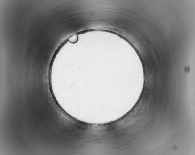 X0000101950848200808151251