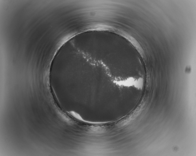 X0000101950850200808151251