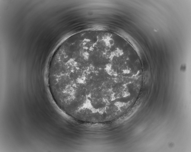 X0000101950851200808151251