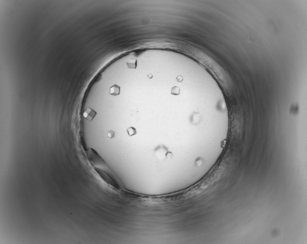 X0000101950852200808151251