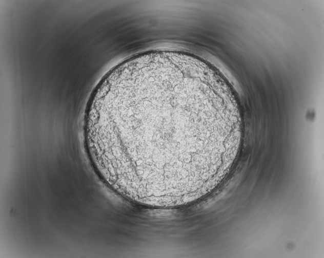 X0000101950853200808151251