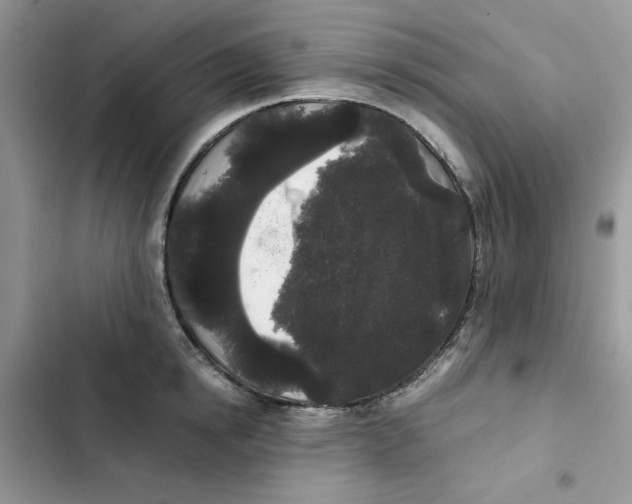 X0000101950854200808151251