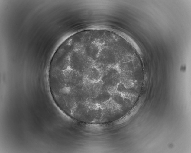 X0000101950855200808151251
