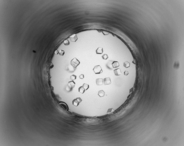 X0000101950857200808151251