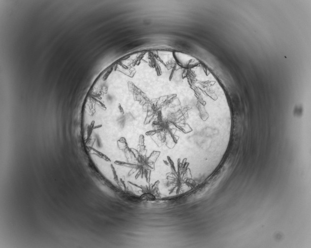 X0000101950858200808151251