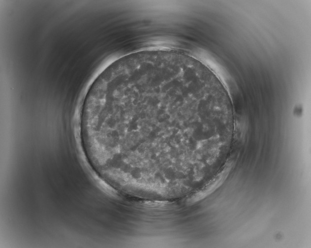 X0000101950859200808151251