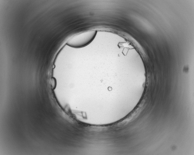 X0000101950860200808151251
