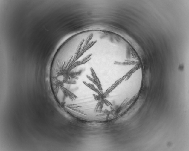 X0000101950862200808151251