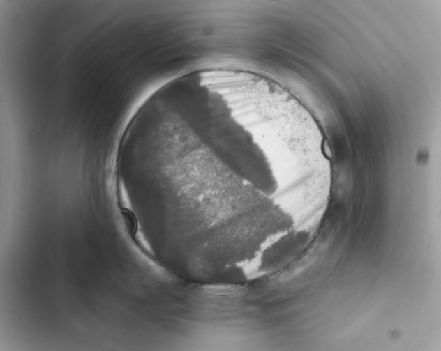 X0000101950863200808151251