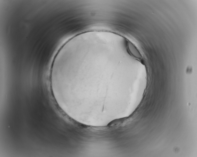 X0000101950864200808151251
