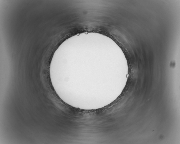 X0000101950865200808151250