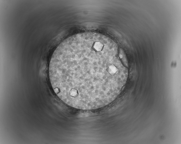 X0000101950866200808151250