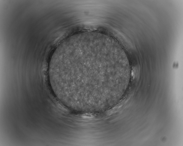 X0000101950867200808151250
