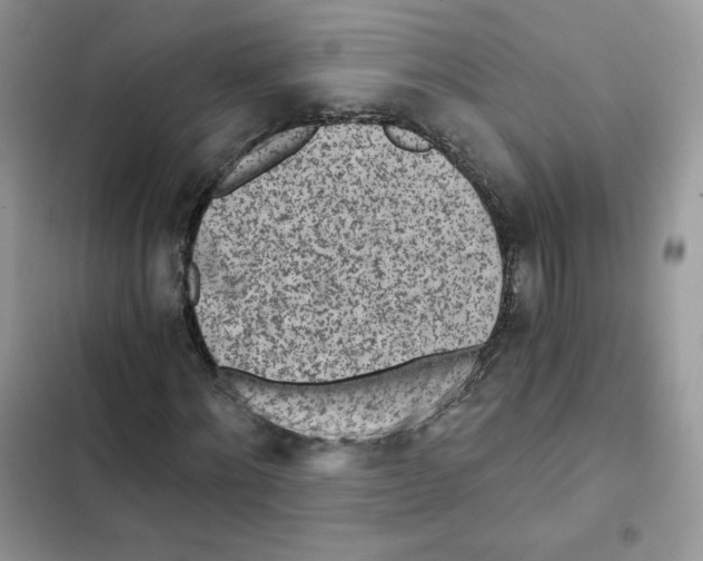 X0000101950868200808151250