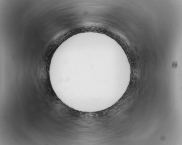 X0000101950869200808151250