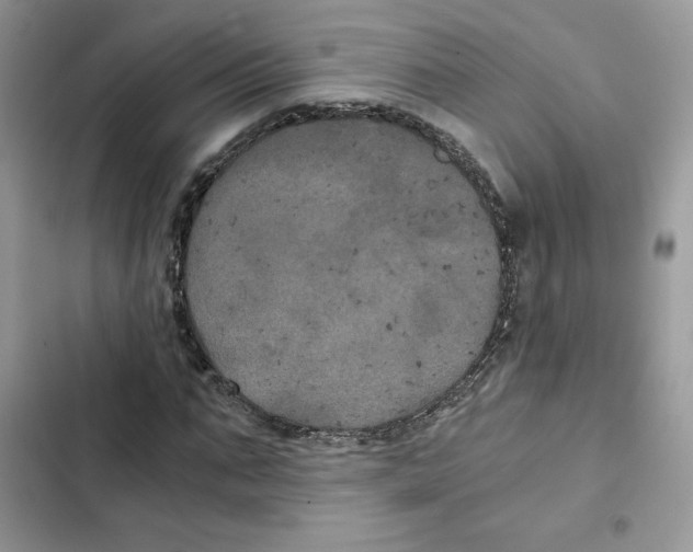 X0000101950871200808151250