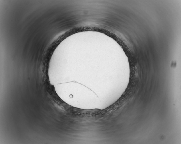X0000101950872200808151250