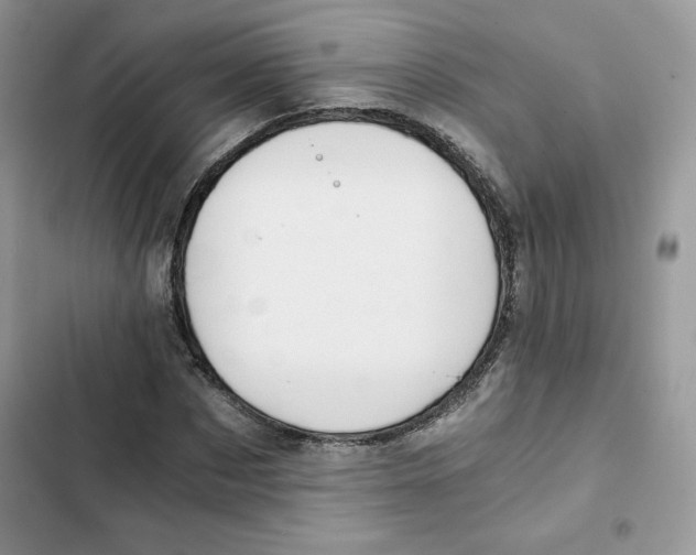 X0000101950873200808151250