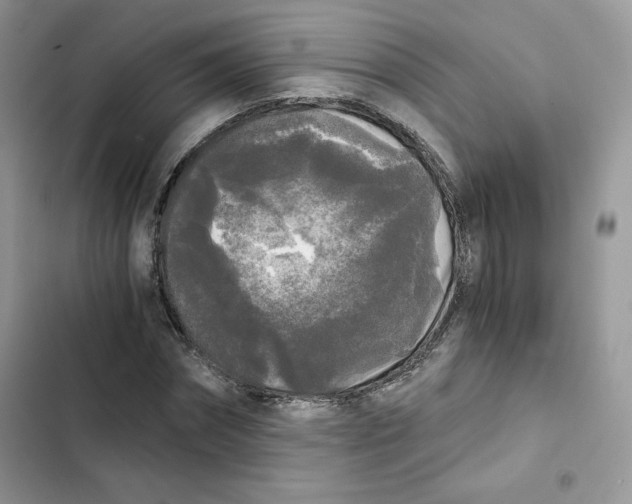 X0000101950874200808151250