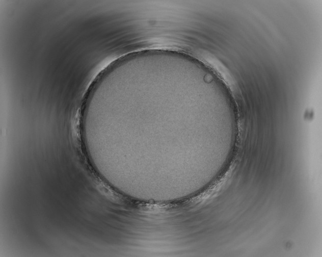 X0000101950875200808151250