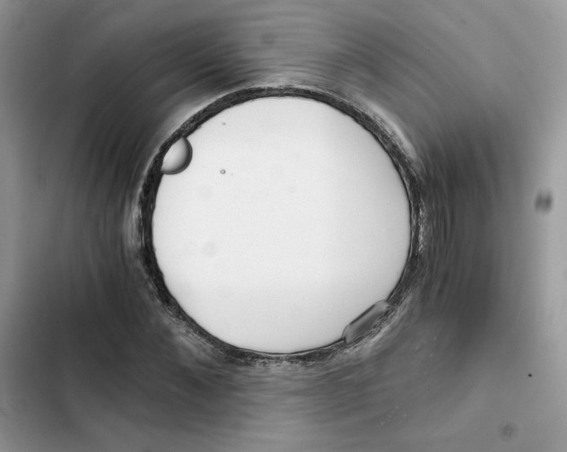 X0000101950876200808151250