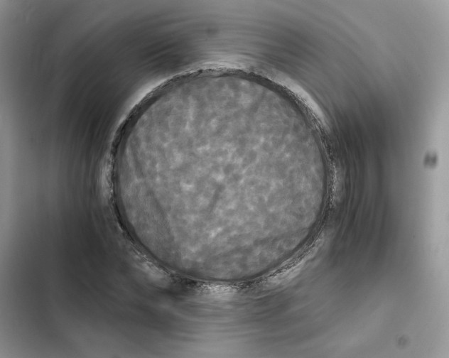 X0000101950878200808151250