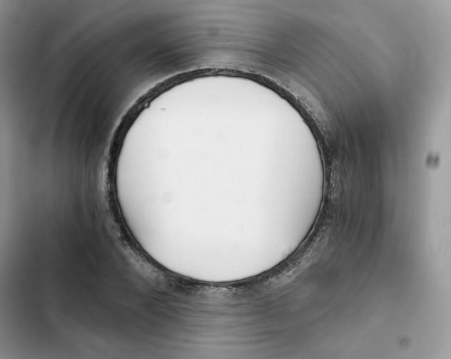 X0000101950880200808151250