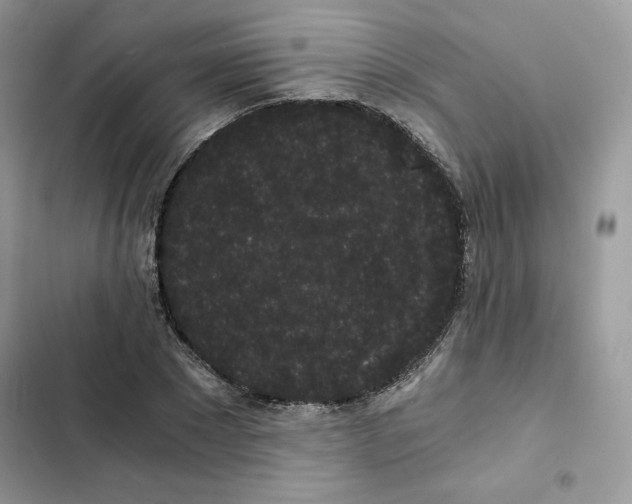 X0000101950881200808151250