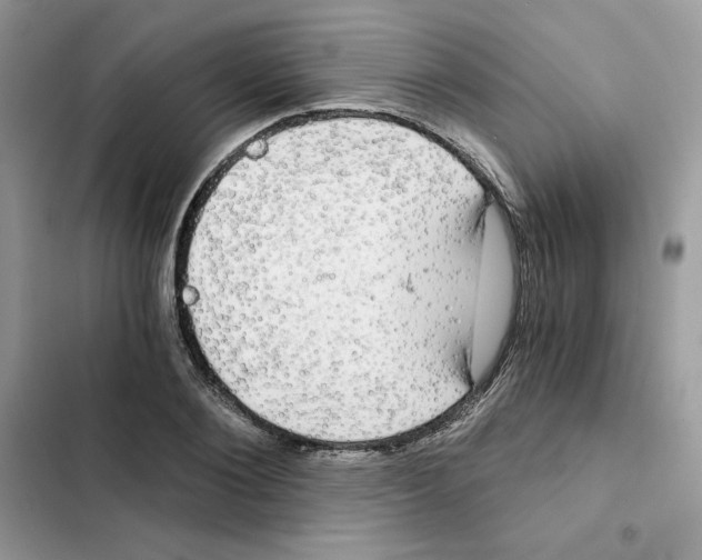X0000101950884200808151250