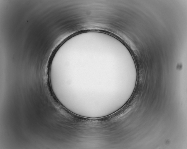 X0000101950885200808151250