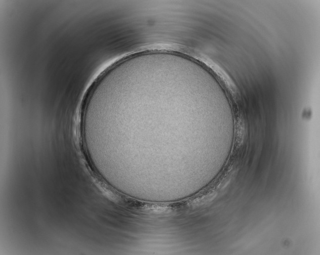 X0000101950886200808151250