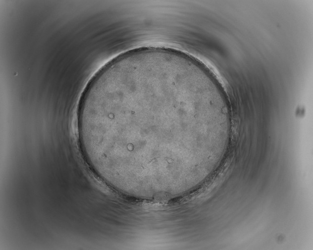 X0000101950887200808151250