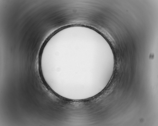 X0000101950888200808151250