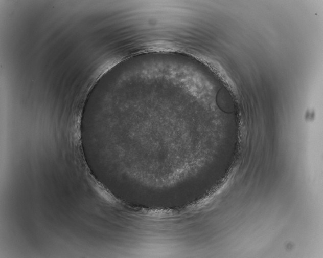 X0000101950889200808151250