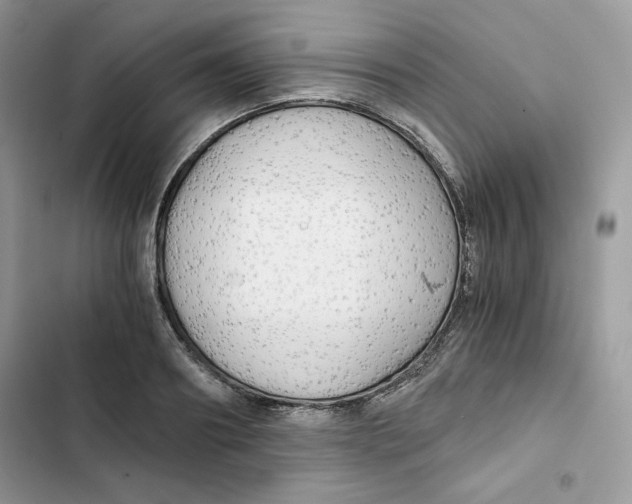 X0000101950890200808151250