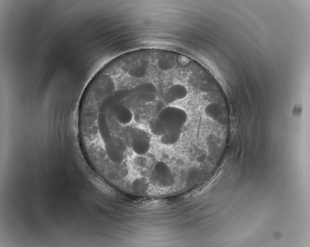 X0000101950891200808151250