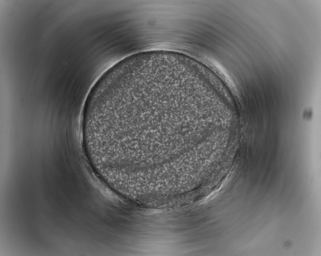 X0000101950892200808151250