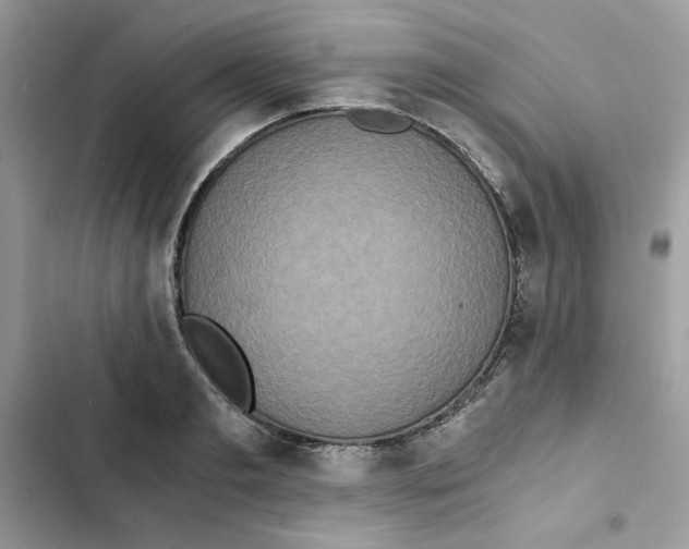X0000101950893200808151250