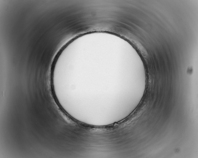 X0000101950894200808151250