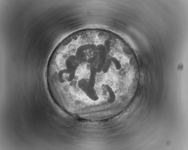 X0000101950895200808151250